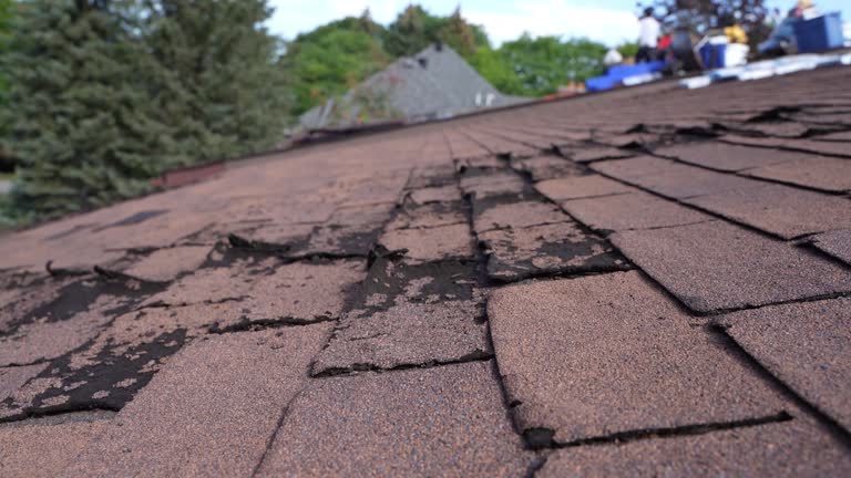 Best Roof Maintenance and Cleaning  in Underwood Petersville, AL