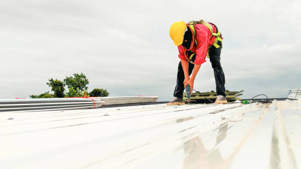 Best Gutter Installation and Repair  in Underwood Petersville, AL