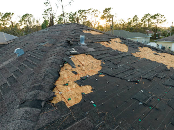 Best Wood Shake Roofing  in Underwood Petersville, AL