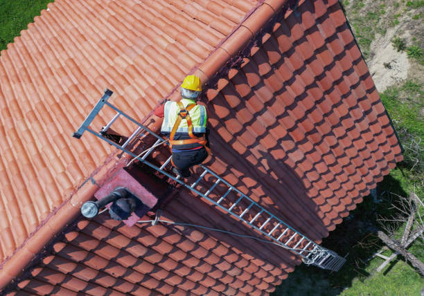 Best Slate Roofing  in Underwood Petersville, AL